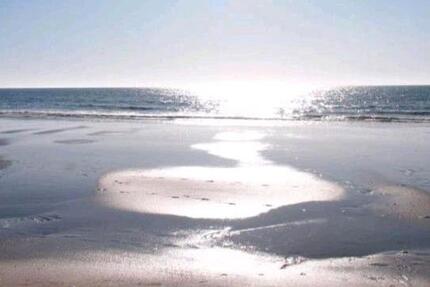 Wohnung Norden - 3 Zimmer, 100 m&sup2;, 800&euro; | Angebot:25613400