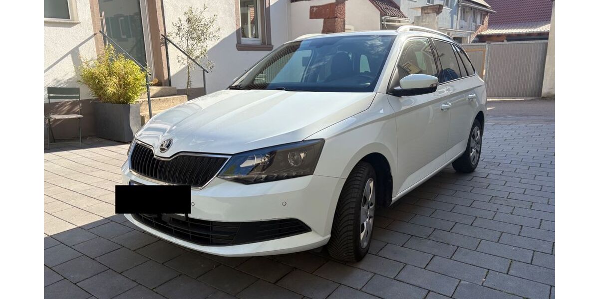 Skoda Fabia 105.384 km 8.900 &euro; Ilbesheim 76831