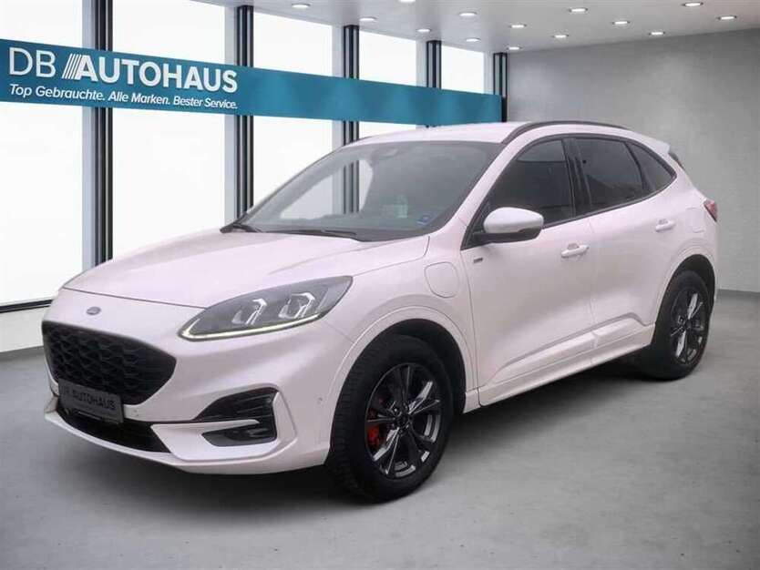 Kuga