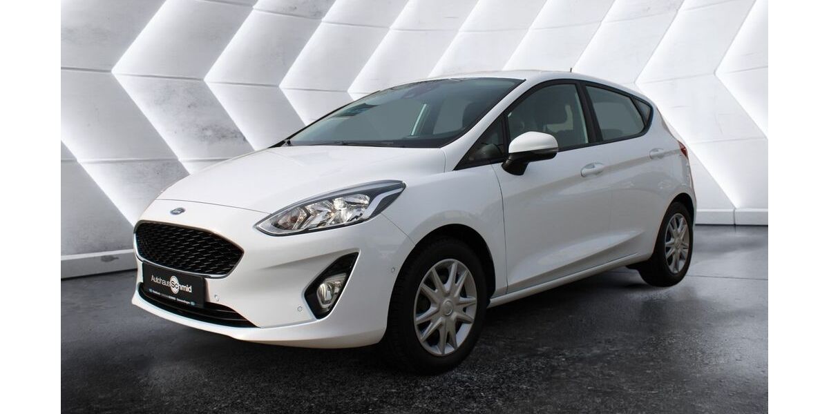Ford Fiesta 88.600 km 8.900 &euro; Waldkirch 79183