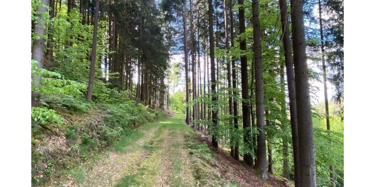 Grundstück Flossenbürg - 170.000&euro; | Angebot:26036735