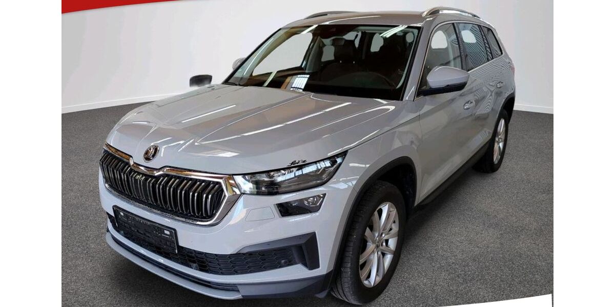 Skoda Kodiaq 123.000 km 25.450 &euro; Bebra 36179