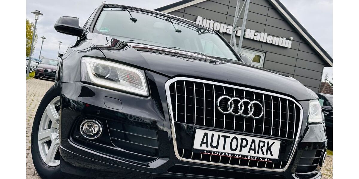 Audi Q5 150.000 km 15.800 &euro; Stepenitztal 23936