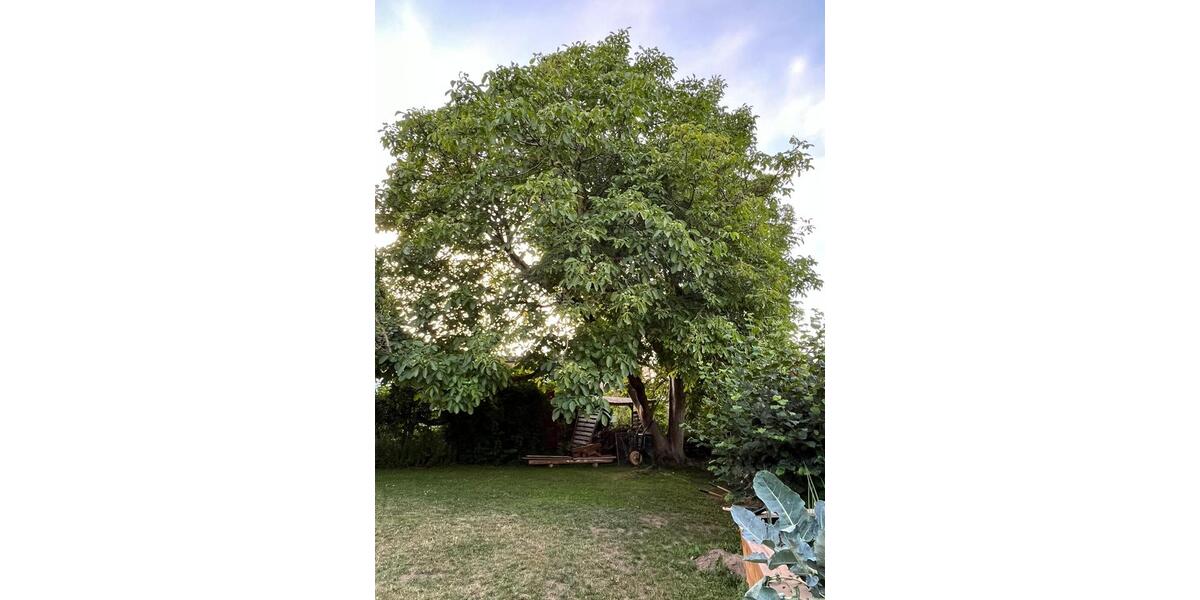 Reihenhaus Springe - 7 Zimmer, 200 m&sup2;, 1.950&euro; | Angebot:25269580