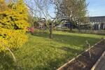 Grundstück Mühlhausen (Thüringen) - 1.500&euro; | Angebot:26680477