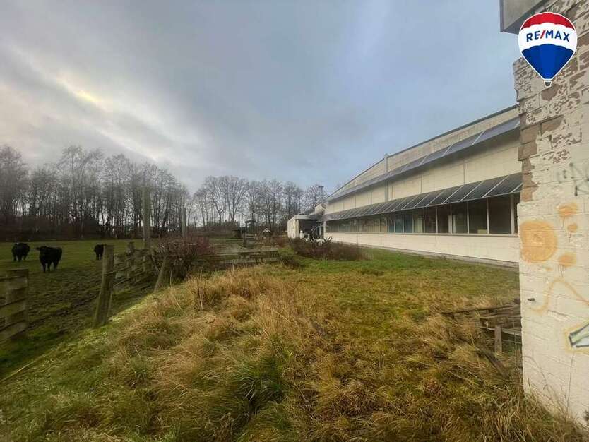 Halle in Rahden 330.000 € 2000 m²