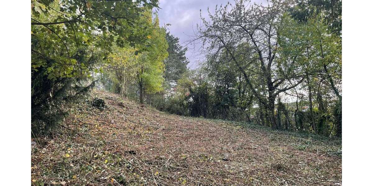 Grundstück Altenmittlau Altenmittlau - 120.000&euro; | Angebot:23241373