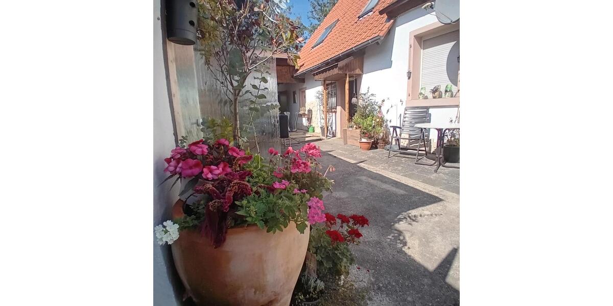 Einfamilienhaus Weisenheim am Sand - 6 Zimmer, 155 m&sup2;, 449.000&euro; | Angebot:26703994