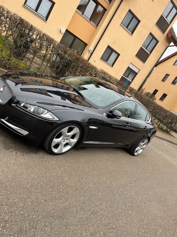 XF