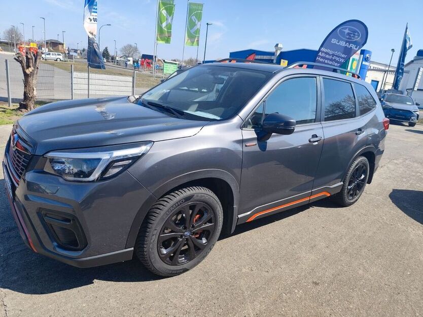 Forester