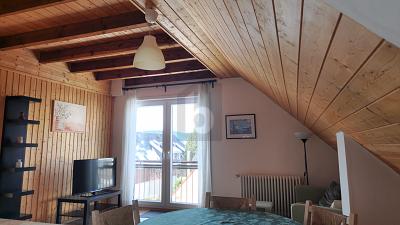 FLEXIBLE RAUMKONZEPTE FÜR JEDEN BEDARF - Mehrfamilienhaus, Wohnhaus Feldberg | Angebot:27313978