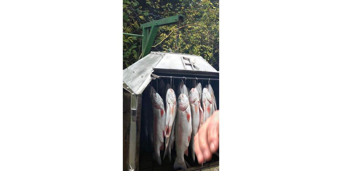 Grundstück Boxberg Wölchingen - 69.000&euro; | Angebot:26093879