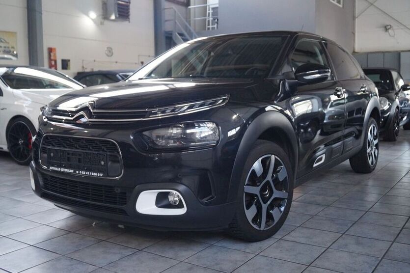 C4 Cactus