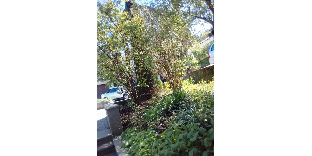 Einfamilienhaus Bad Liebenzell - 8 Zimmer, 230 m&sup2;, 419.000&euro; | Angebot:26889302