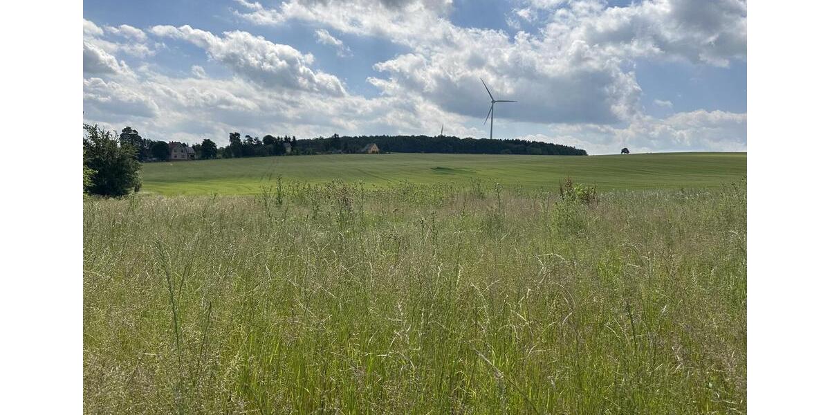 Grundstück Reichenbach im Vogtland - 115.000&euro; | Angebot:19815699