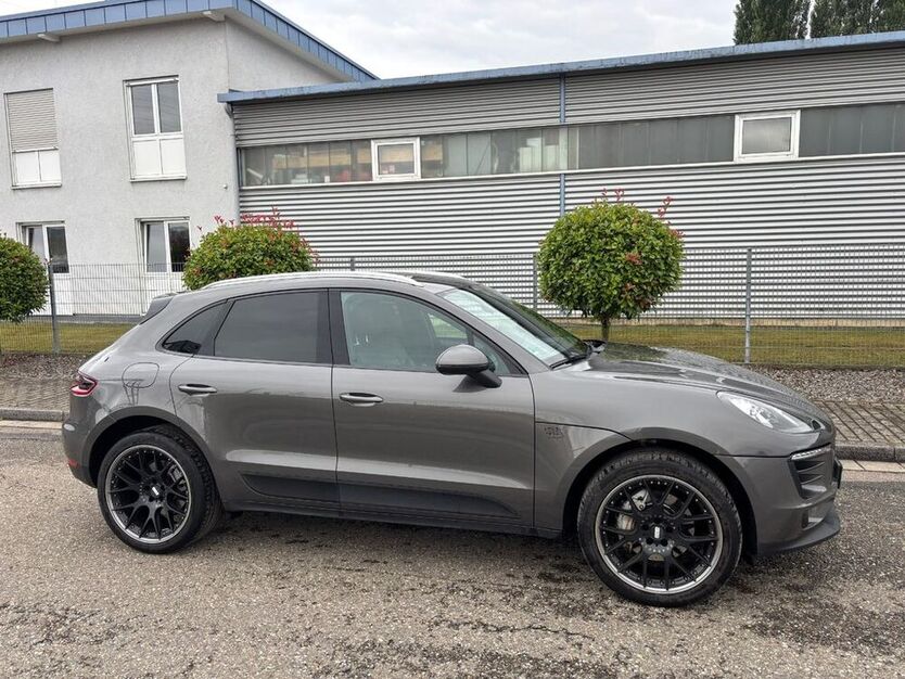Macan