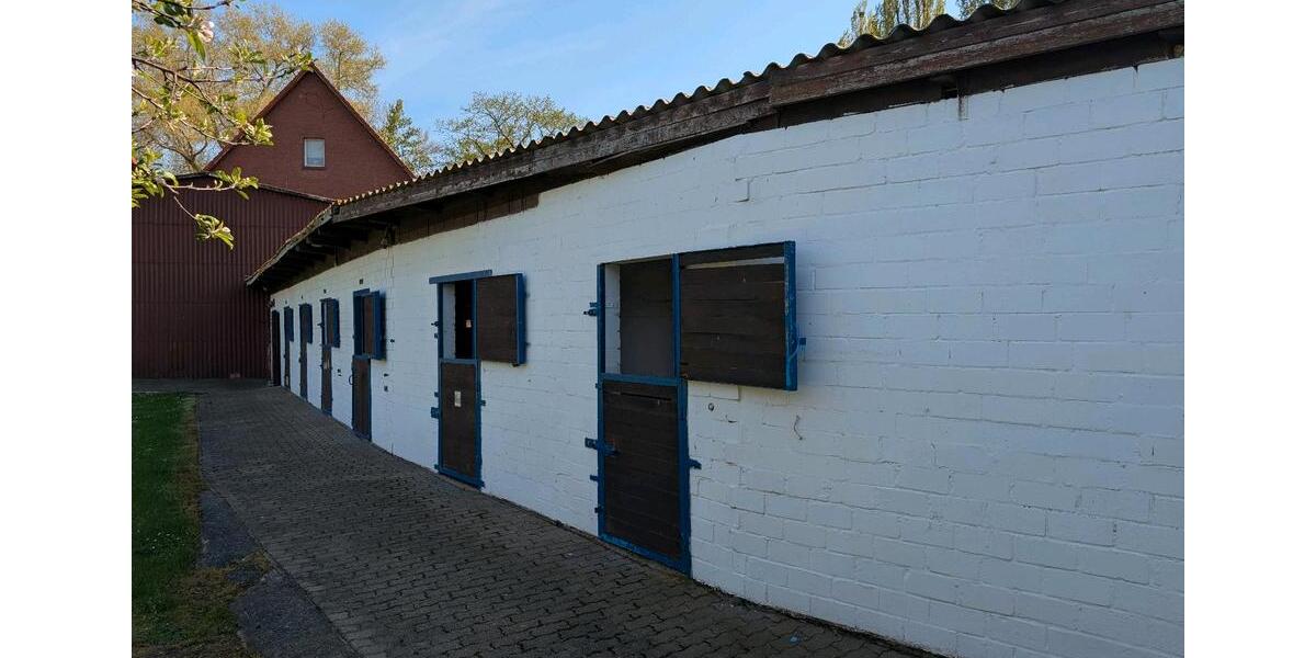 Mehrfamilienhaus, Wohnhaus Salzgitter Ortschaft Nord - 44 Zimmer, 400 m&sup2;, 500.000&euro; | Angebot:23512774