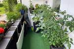 Etagenwohnung Bischofswiesen Strub - 2 Zimmer, 56 m&sup2;, 274.000&euro; | Angebot:25772355