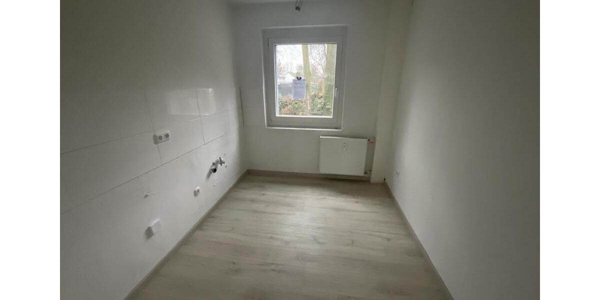 Erdgeschoßwohnung Herne Sodingen - 3 Zimmer, 56 m&sup2;, 479&euro; | Angebot:24889850