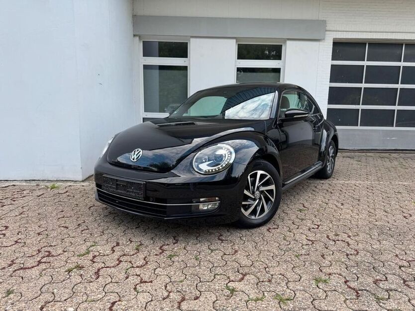 Beetle