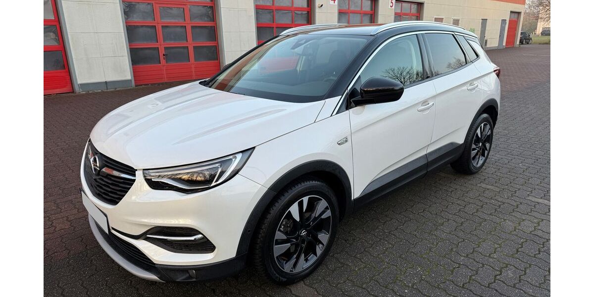 Opel Grandland (X) 170.000 km 13.590 &euro; Rathenow 14712