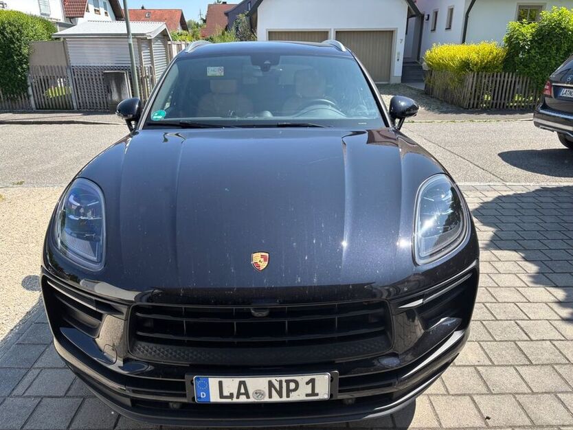 Macan