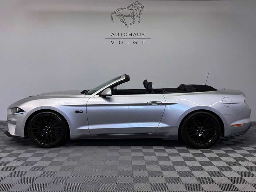 Mustang
