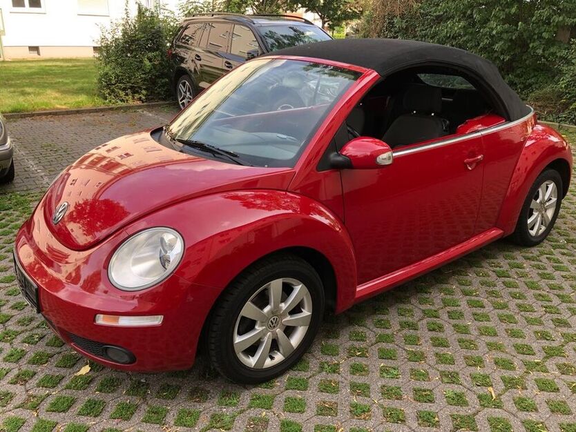 Beetle