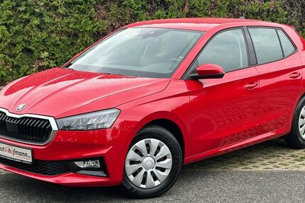 Skoda Fabia 18.313 km 16.090 &euro; Wallenfels 96346
