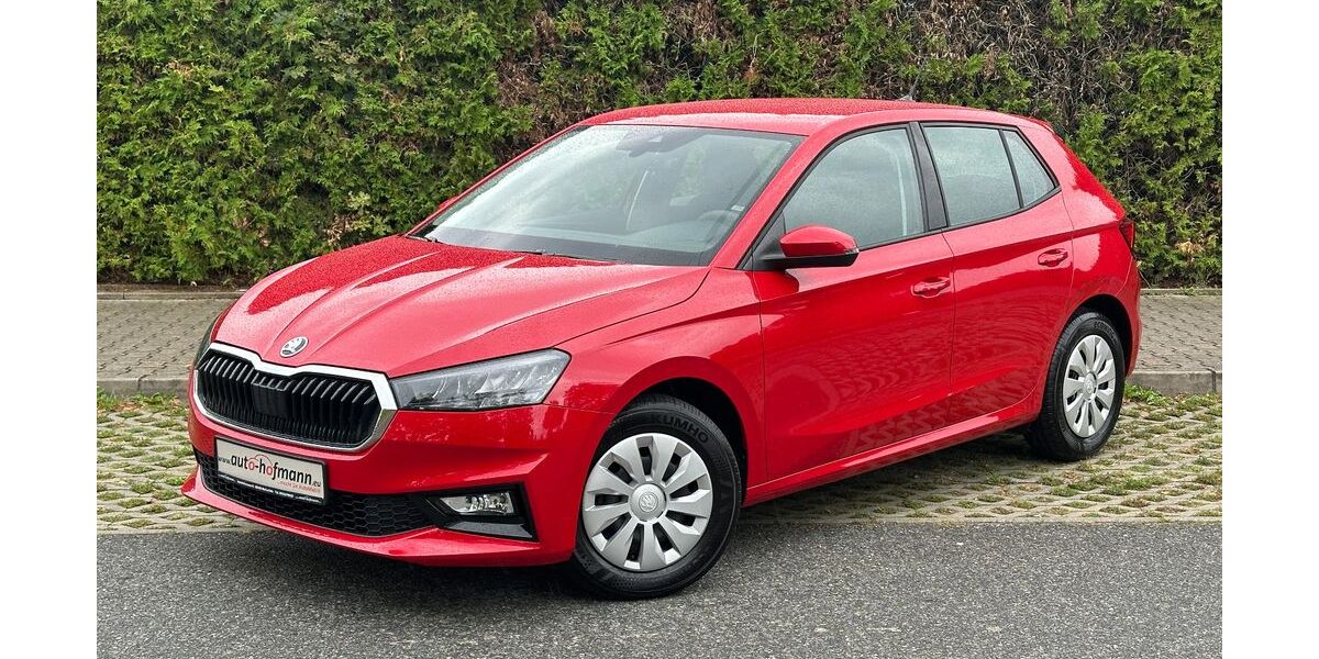 Skoda Fabia 18.313 km 16.090 &euro; Wallenfels 96346