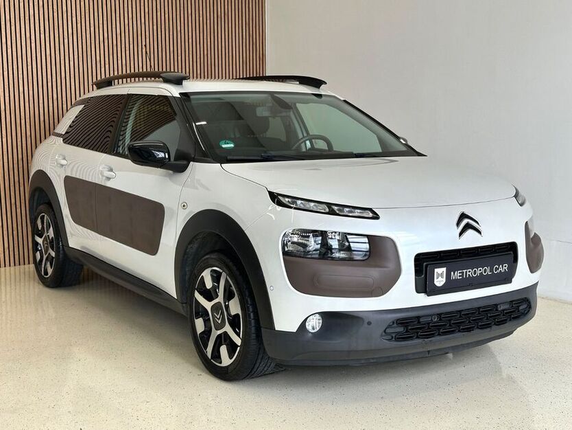 C4 Cactus