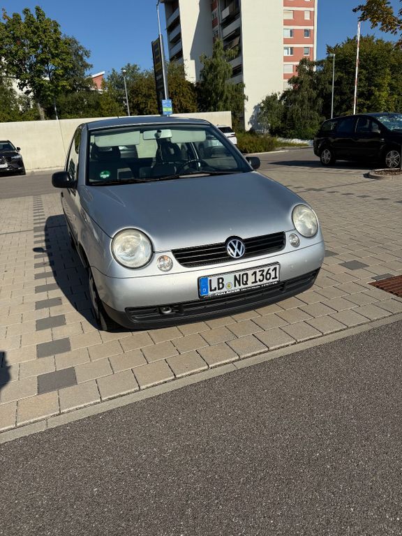 Lupo