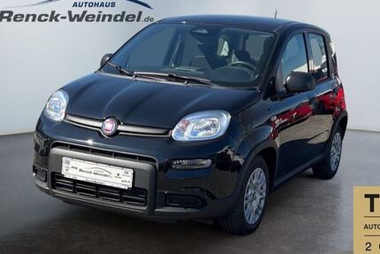 Fiat New Panda