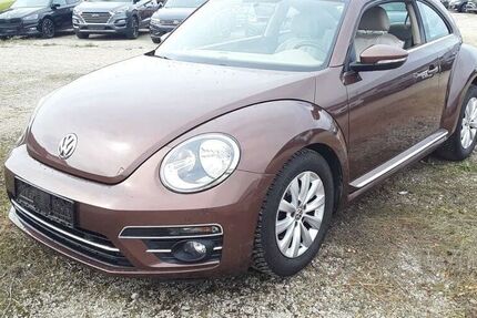 VW Beetle