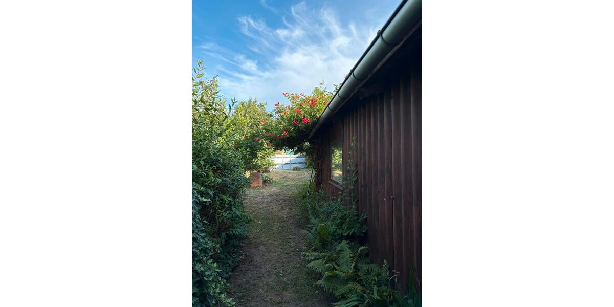 Einfamilienhaus Seelow - 4 Zimmer, 100 m&sup2;, 235.000&euro; | Angebot:27086765