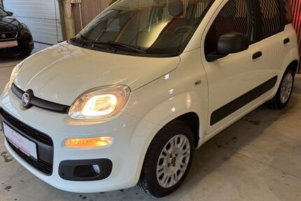 Fiat Panda 52.740 km 7.199 € Horhausen 56593