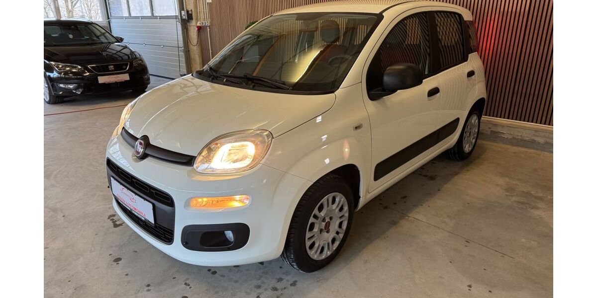 Fiat Panda 52.740 km 7.199 € Horhausen 56593