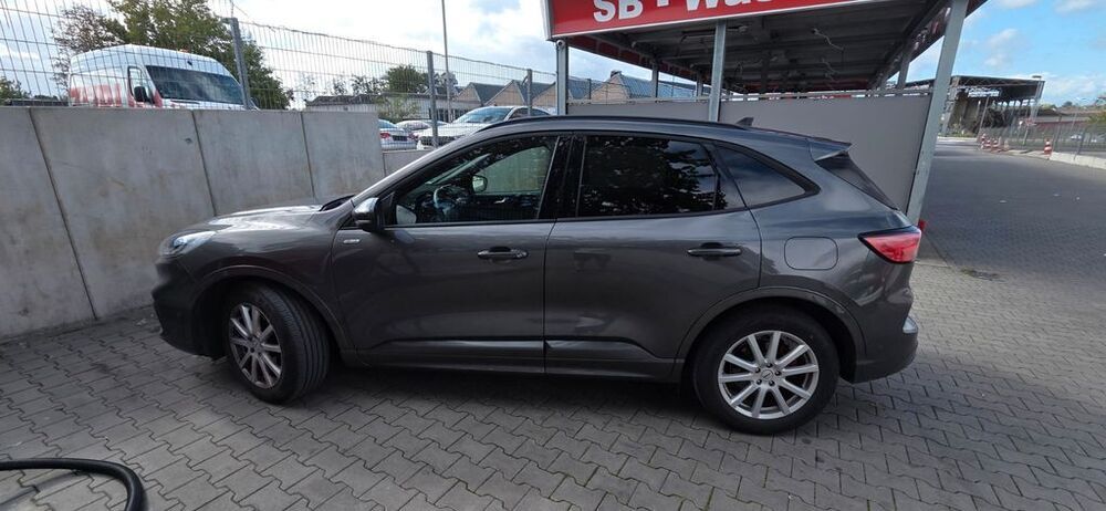Kuga
