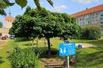 Etagenwohnung Huy - 249&euro; | Angebot:26144991
