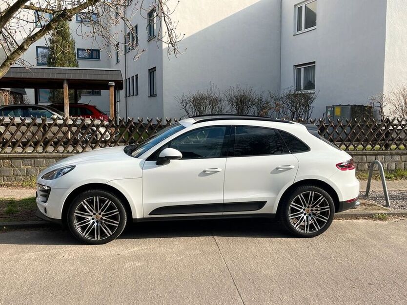 Macan