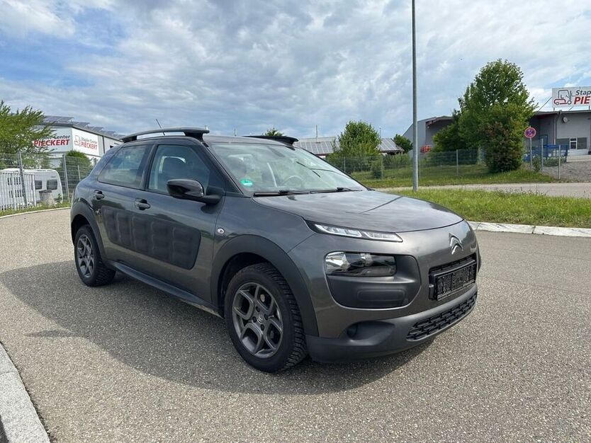 C4 Cactus