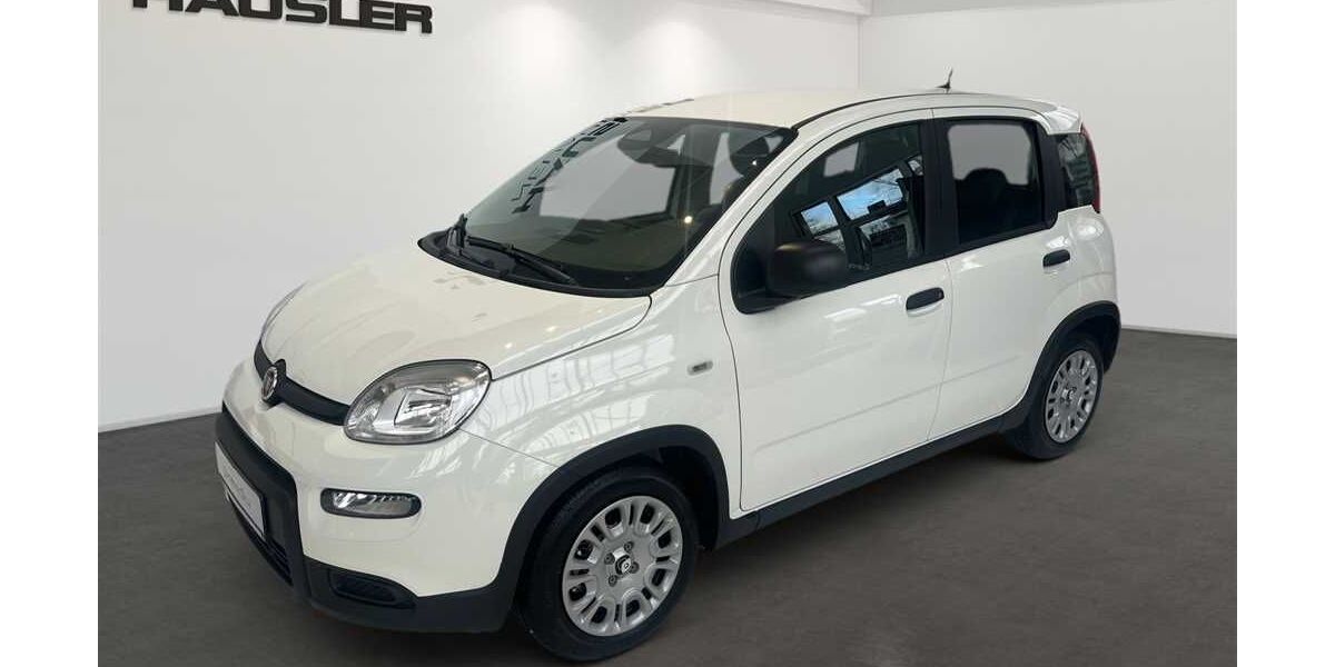 Fiat Panda 5.650 km 13.990 € Fürstenfeldbruck 82256