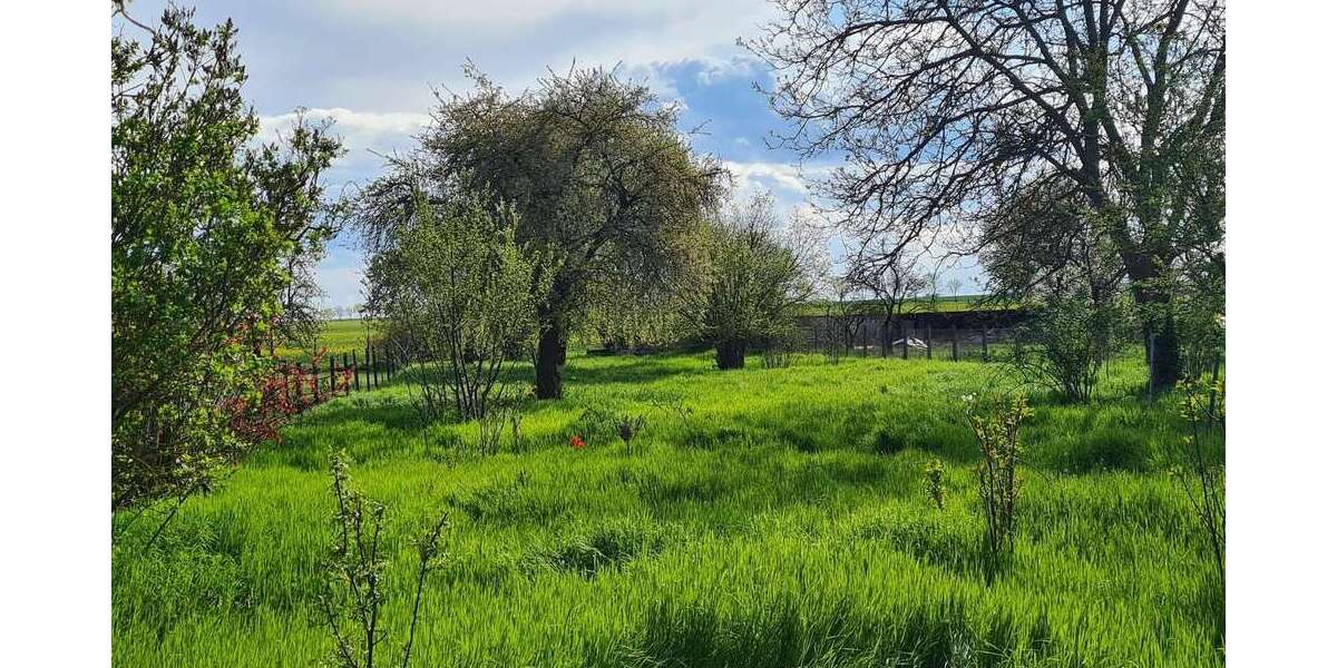Grundstück Nienburg (Saale) - 34.000&euro; | Angebot:27031368