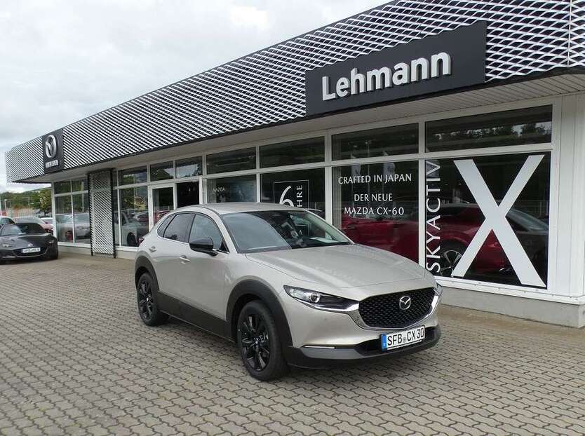 CX-30