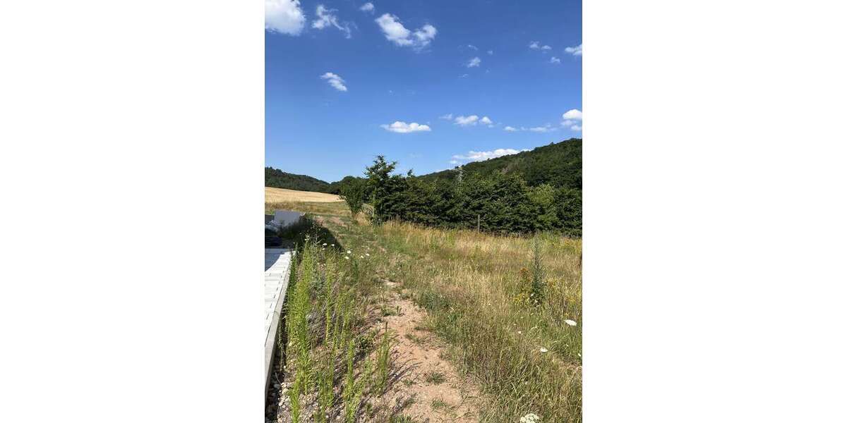 Grundstück Bechhofen - 130.000&euro; | Angebot:22108678