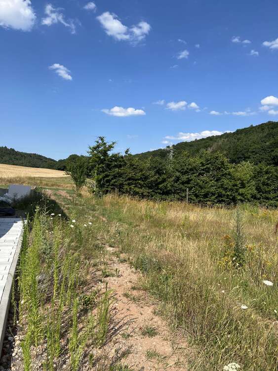 Grundstück zu verkaufen in Bechhofen 130.000 € 608 m² zimmer