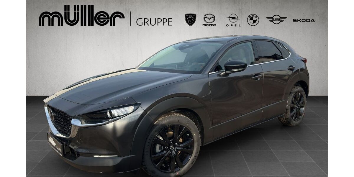 Mazda CX-30 4.359 km 29.904 &euro; Trier 54292