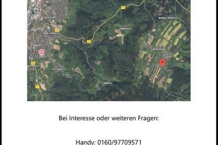 Wohnung Erbach - 5 Zimmer, 130 m&sup2;, 1.500&euro; | Angebot:24659923