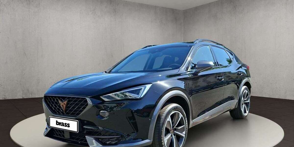 Cupra Formentor 54.750 km 28.750 &euro; Darmstadt 64293