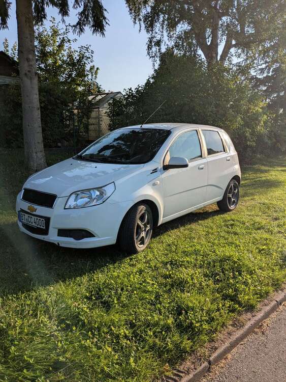 Aveo